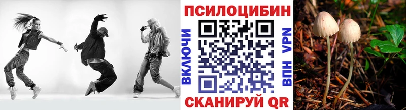 купить закладку  Среднеуральск  Галлюциногенные грибы MAGIC MUSHROOMS 